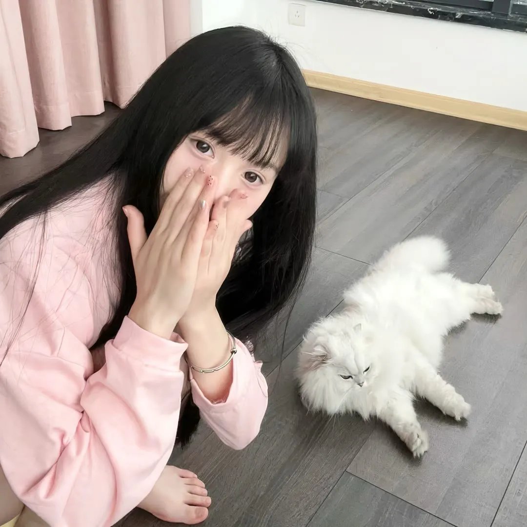 遮云